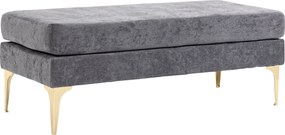 HOMCOM Bancă pentru Pat de Dormitor cu 2 Niveluri, Bancă din Material de Catifea și Oțel, 121x50,5x46,5 cm, Gri Închis | Aosom Romania