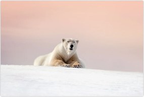 Tablou - Urs polar (90x60 cm)