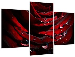 Tablou - Trandafir (90x60 cm)