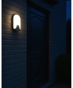 Aplica de exterior LED cu senzor de mișcare, 18W/230V, IP44, antracit