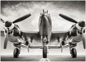 Tablou - Warbird (70x50 cm)