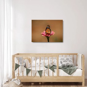 Tablou pe sticlă cu fluture pe floare (70x50 cm)