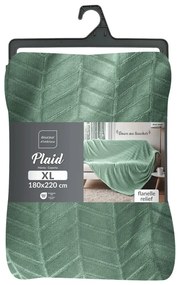 Cuvertură verde-deschis din microflanel 180x220 cm Arya – douceur d'intérieur