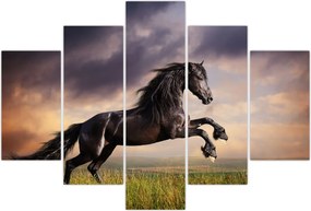 Tablou - Cai (150x105 cm)