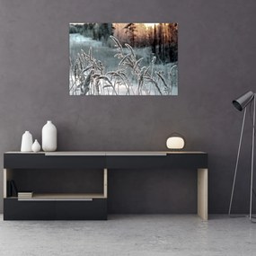 Tablou - Pajiște înghețată (90x60 cm)