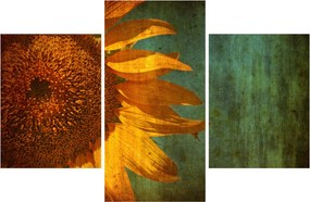 Tablou - Floarea soarelui (90x60 cm)