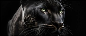 Tablou - Pantera Neagră (120x50 cm)
