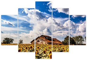 Tablou cu câmp de floarea soarelui (150x105 cm)