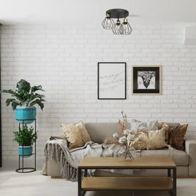 Plafonieră PARKLA 3xE27/15W/230V negru/auriu