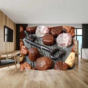 Paravan - Ciocolată și chei (210x170 cm)