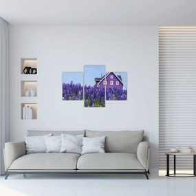 Tablou cu câmp de lavanda (90x60 cm)