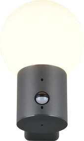 Corp de iluminat pentru exterior de perete cu senzor de mișcare ø 18 cm Mures – Trio