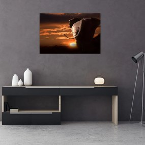Tablou cu elefant (90x60 cm)