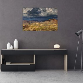 Tablou - cactușii în natură (90x60 cm)