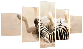 Tablou cu zebră culcată (125x70 cm), în 40 de alte dimensiuni noi