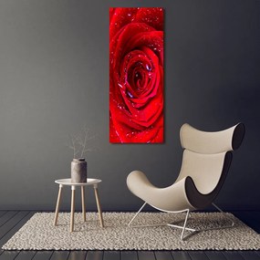 Imprimare tablou canvas Trandafir roșu