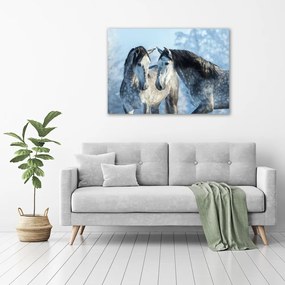 Tablou pe pânză canvas Cai gri de iarnă