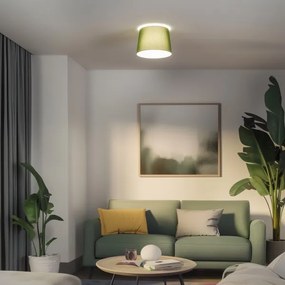 Brilagi - Plafonieră LED aplicată CERIA 1xE27/40W/230V, Ø 30 cm, verde
