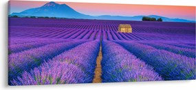 Tablou - Câmp de levănțica (120x50 cm)