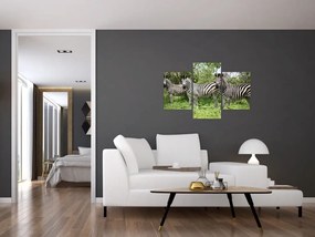 Tablou cu zebre (90x60 cm)