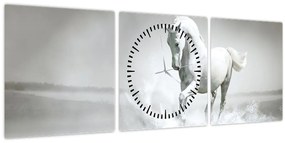 Tablou - Cal alb (cu ceas) (90x30 cm)