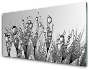 Tablouri acrilice Abstract Floral Gray