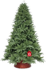 Brad Nordmann 240 cm