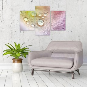 Tablou - Picături (90x60 cm)