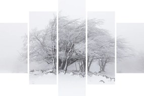 Tablou - Iarnă albă (150x105 cm)