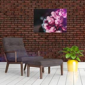 Tablou cu florile copacilor (70x50 cm)