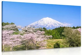Tablou vulcanul Fuji