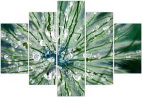 Tablou - Imagine macro a unei flori (150x105 cm)