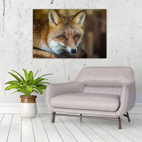 Tablou cu vulpe (90x60 cm)