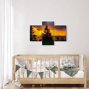 Tablou - coniferi (90x60 cm)