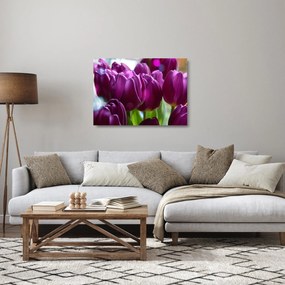 Tablou pe sticlă cu lalele (70x50 cm)