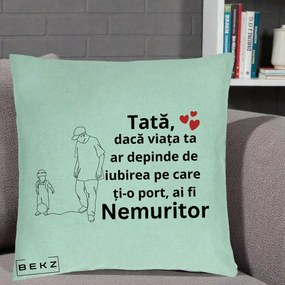 Cadou pentru Tata - Perna Personalizata Tata Nemuritor Joaca cu Mingea, 40x40 cm, Verde Menta, Husa Detasabila, Perna Inclusa, BEKZ®