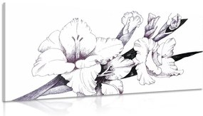 Tablou ilustrația gladiolei înfloritoare