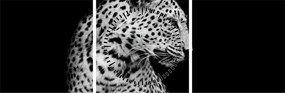Tablou - Leopardul (cu ceas) (90x30 cm)