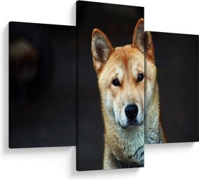 Tablou cu câine (90x60 cm)