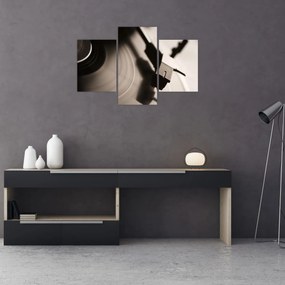 Tablou - Înregistrare gramofonică (90x60 cm)