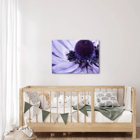 Tablou - Floare mov (70x50 cm)