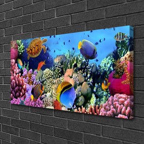 Tablou pe panza canvas Coral Reef Natura Multi