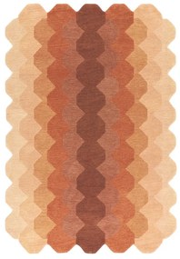 Covor cărămiziu din lână 160x230 cm Hive – Asiatic Carpets