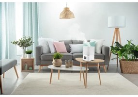 Umidificator Rowenta AQUA BOOST 2,5 l 115W/230V