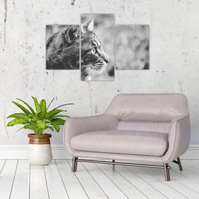 Tablou - Pisica (90x60 cm)