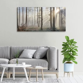 Imprimare tablou canvas Ceață în pădure