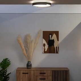 Plafoniera LED cu telecomanda Laleh D-40cm