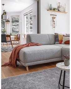 Colțar gri deschis extensibil/cu spațiu de depozitare (cu colț pe partea stângă/în formă de ”L”) Classy Sophie – Miuform