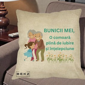Cadou pentru Bunici - Perna Personalizata Bunicii Mei Comoara Iubire Intelepciune Nepoata, 40x40 cm, Crem, Husa Detasabila, Perna Inclusa, BEKZ®
