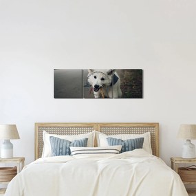 Tablou cu câinele alb (cu ceas) (90x30 cm)